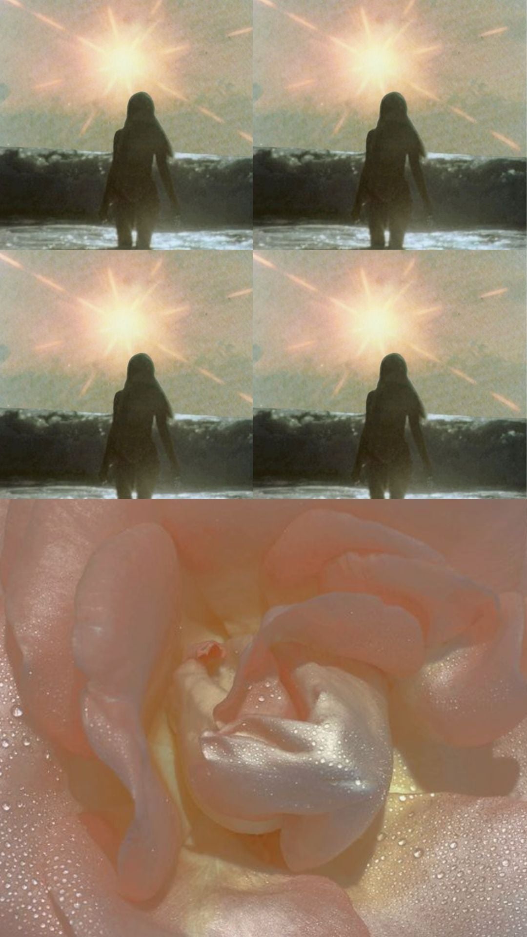 Astrology Insights for August 2024