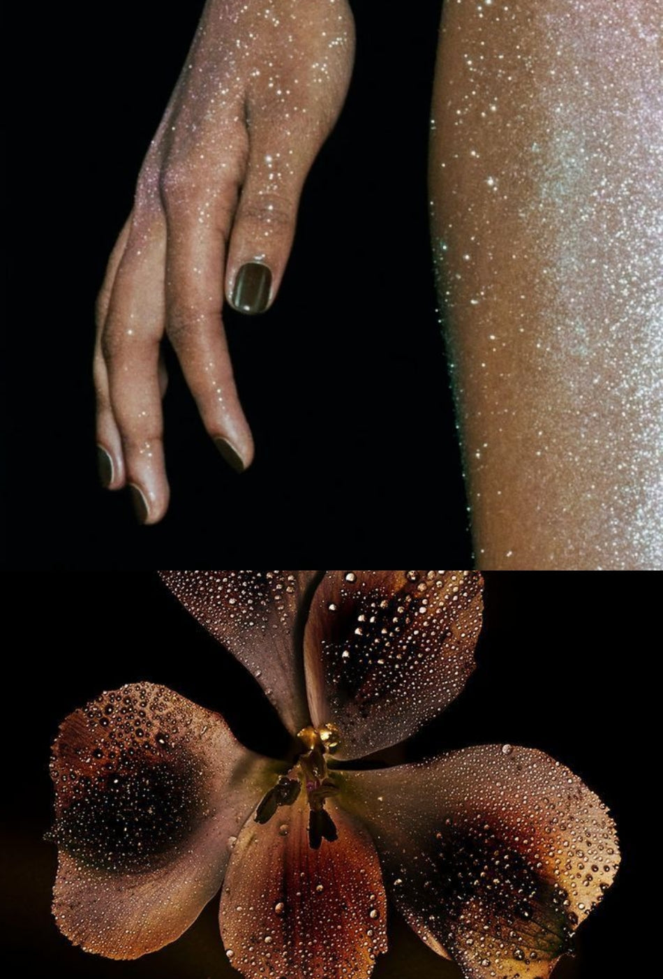 Astrology Insights for May 2025