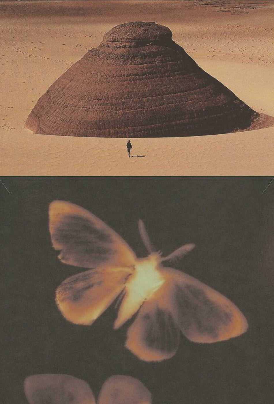 Astrology Insights for January 2026